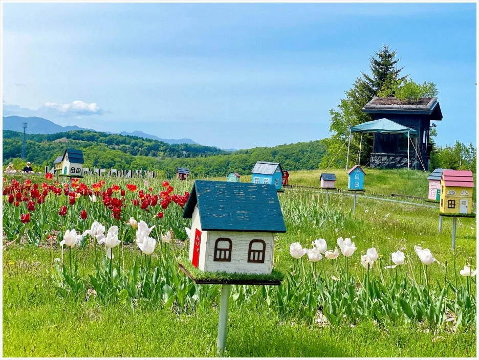 SE-b1cdedb6-8769-46ab-8685-01ae88c3e89e.jpg?type=w1