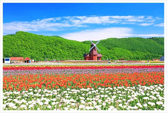 %ED%8A%A4%EB%A6%BD%EA%B3%B5%EC%9B%902.jpg?type=w1