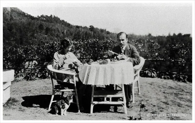 project_img3.jpg?type=w2