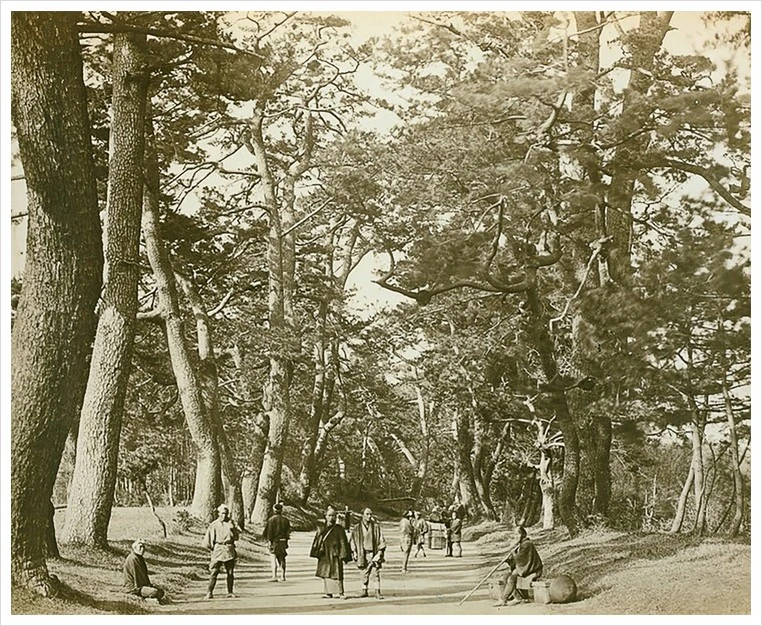 Tokaido1825.jpg?type=w1