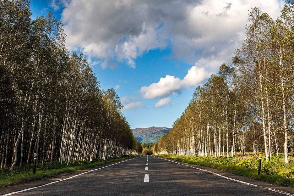 thumbnail_20240229_135853.jpg?type=w1