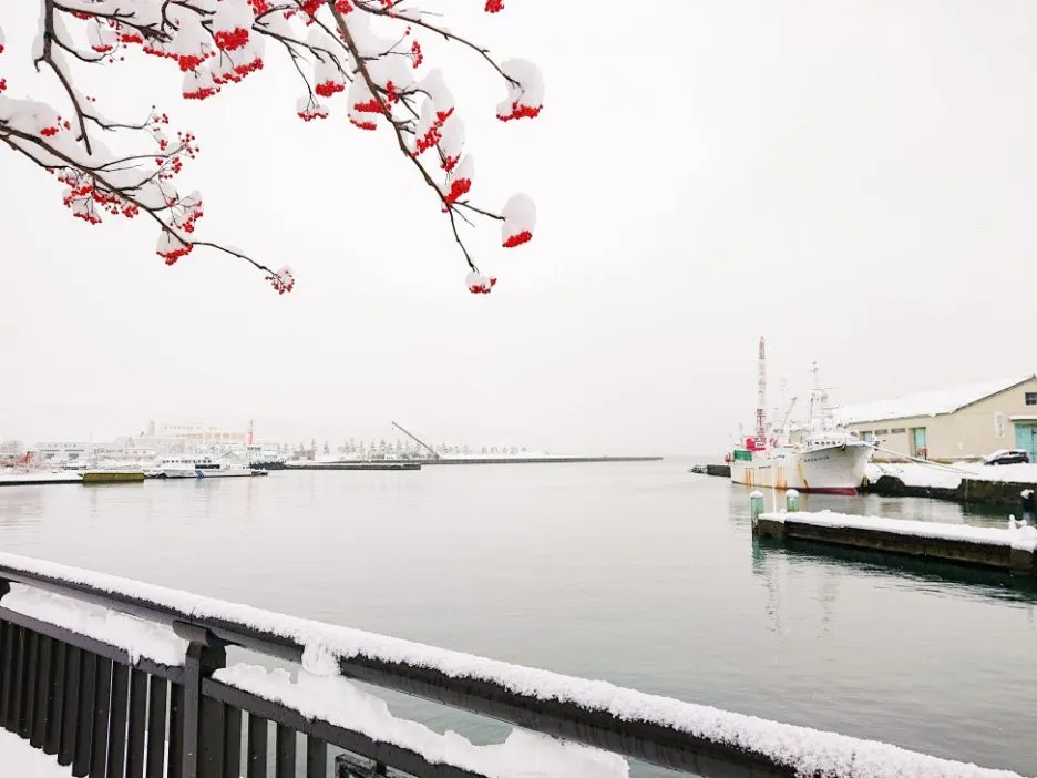 OTA20221124122602-973x730.jpg?type=w1