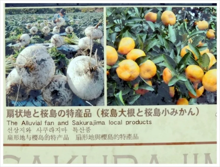 DSCN6540.JPG?type=w2