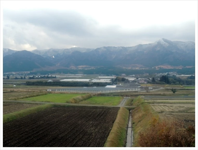 image.JPEG?type=w966