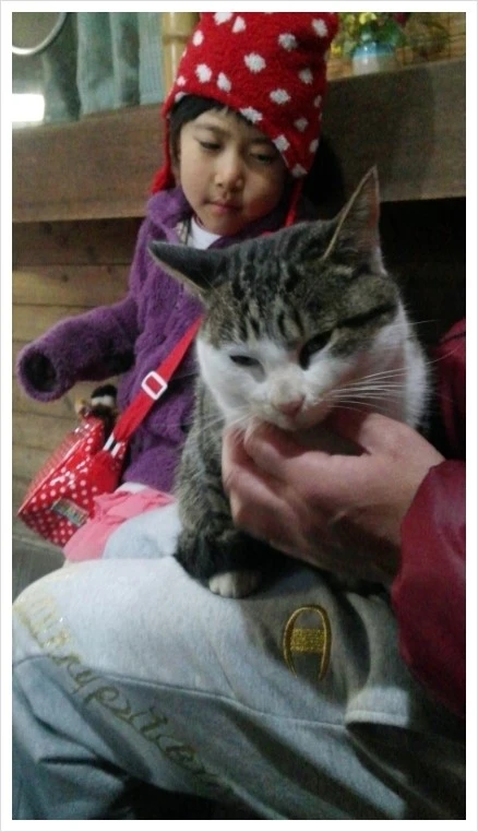 image.JPEG?type=w966