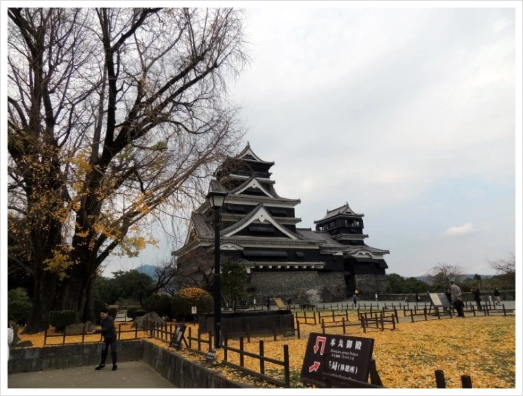 DSCN6211.JPG?type=w1