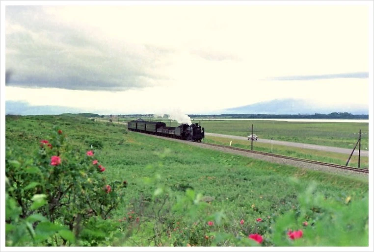 %EC%84%BC%EB%AA%A8%EB%B3%B8%EC%84%A01.jpg?type=w1