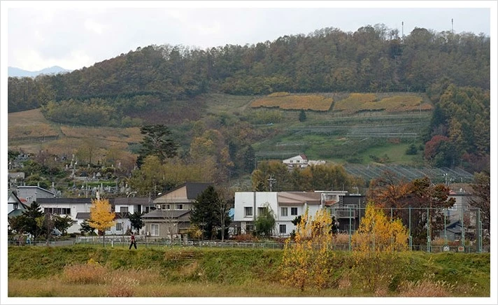 image.JPEG?type=w966