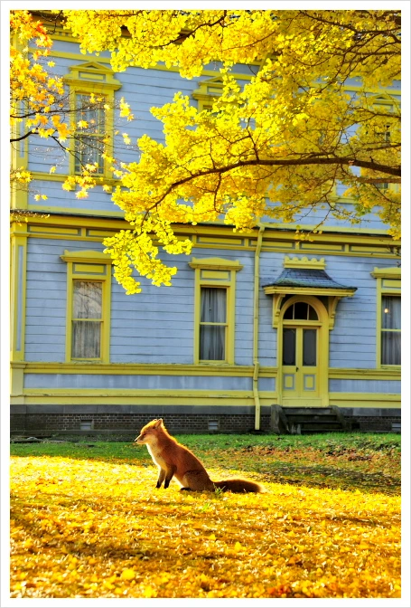 SE-0ad02667-983c-43a2-871f-08a6fd6f0935.jpg?type=w1