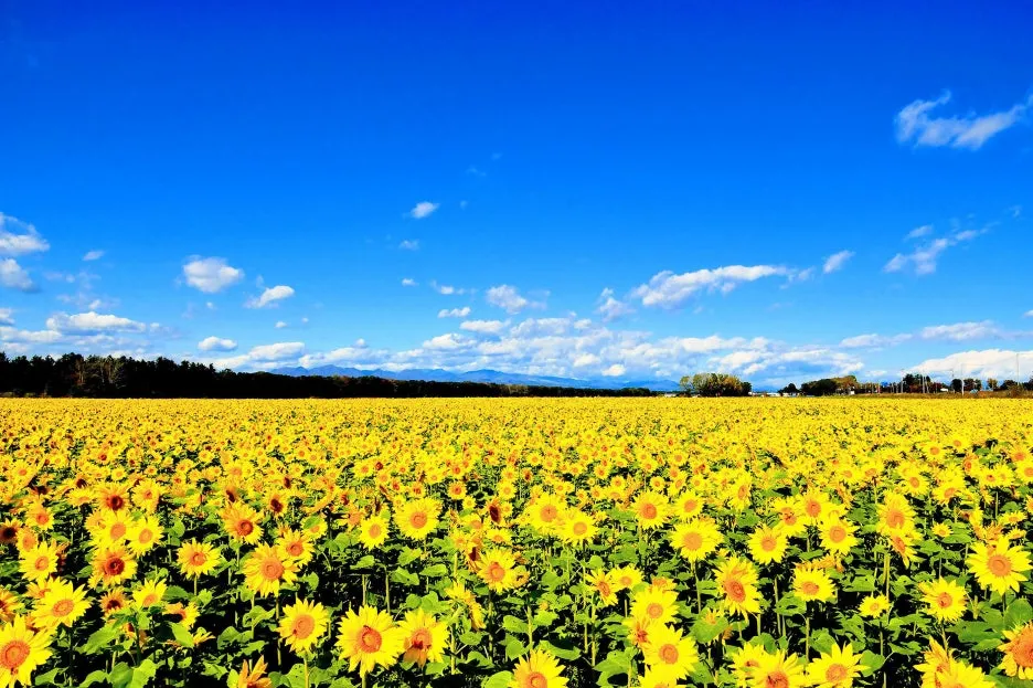 thumbnail_20240227_164103.jpg?type=w1