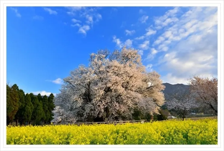 12_ishingyo.jpg?type=w2