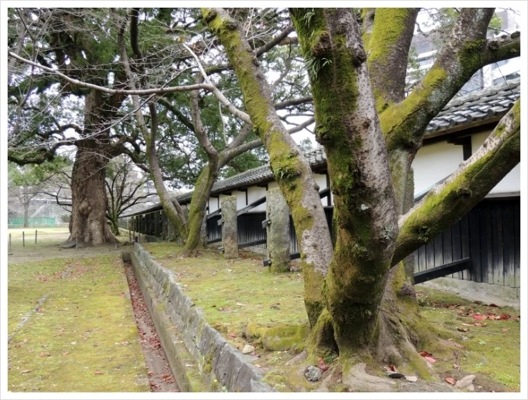 DSCN6217.JPG?type=w1