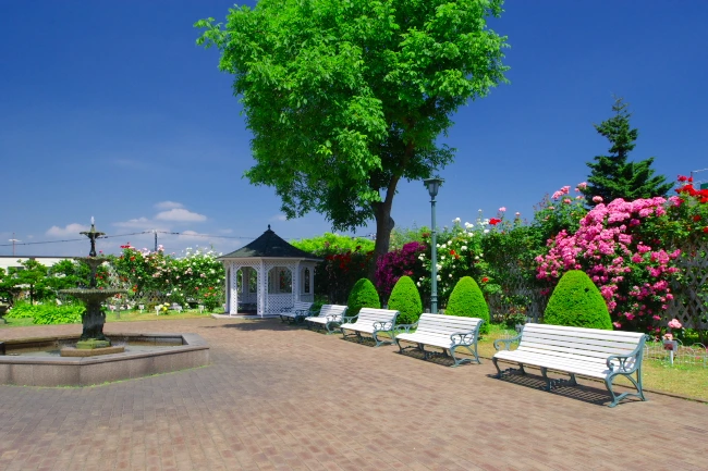 201205300637531d7.jpg?type=w1