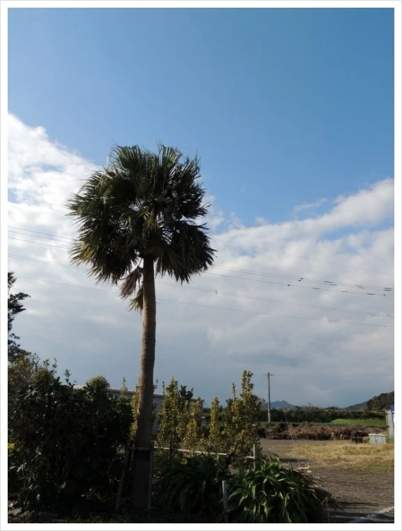 image.JPEG?type=w966