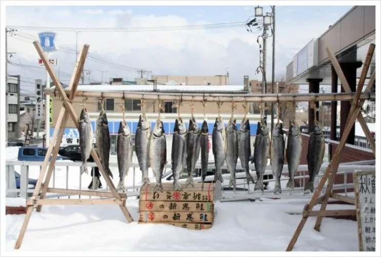 _MG_1071.JPG?type=w2