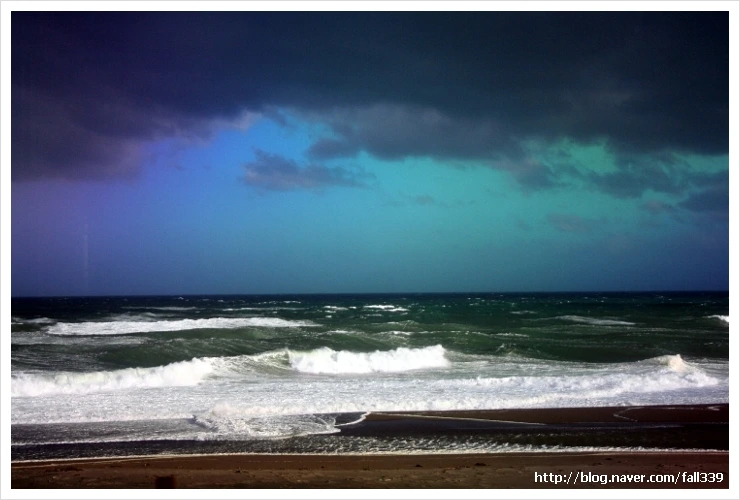 %EC%82%AC%EC%A7%84_001_fall339.jpg?type=w1