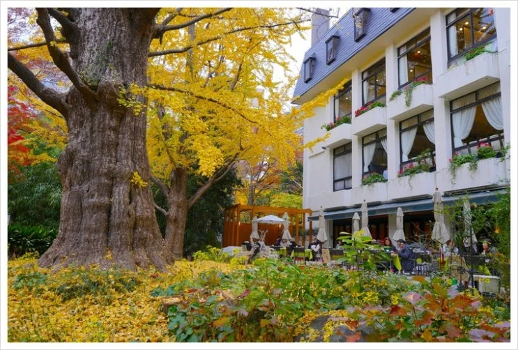 %ED%9E%88%EB%B9%84%EC%95%BC2.jpg?type=w2