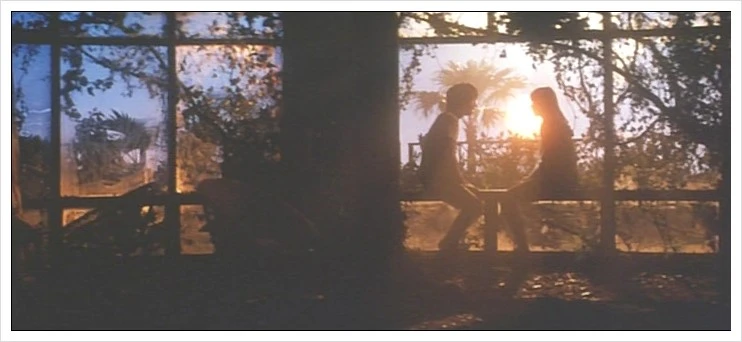 %BC%BC%BB%F3%C0%C7%C1%DF%BD%C9%BF%A1%BC%AD%BB%E7%B6%FB%C0%BB%BF%DC%C4%A1%B4%D9_720.avi_003343298.jpg?type=w1