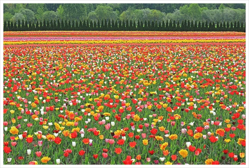 SE-718c7fb5-1dfc-41e1-b8d0-5c3c12618192.jpg?type=w1