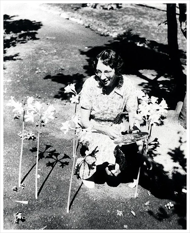 Bz3QudTCIAAAMMD.jpg?type=w2