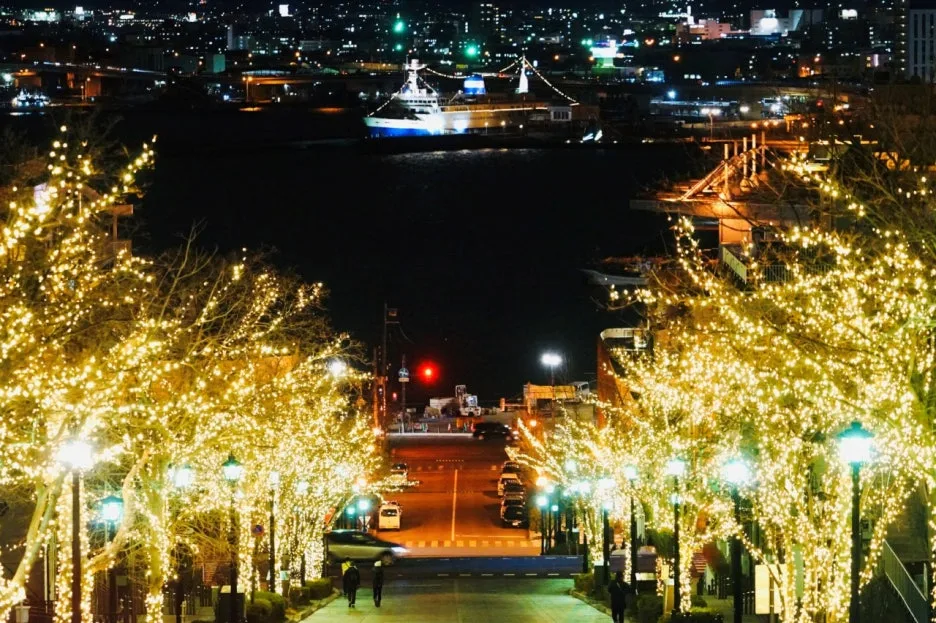 11011_9_l.jpg?type=w1