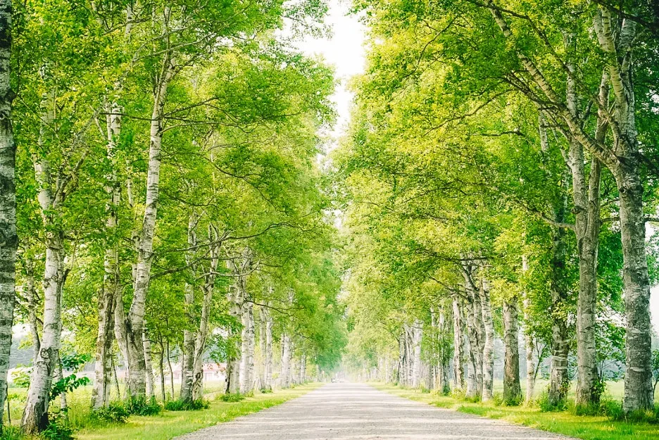 thumbnail_20240227_170905.jpg?type=w1