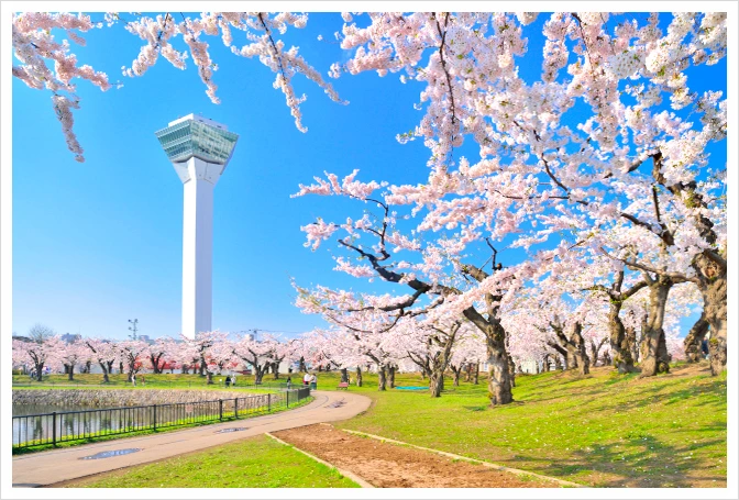 SE-b44eff84-4f7c-42c3-af7f-0b34c5e9262b.jpg?type=w1