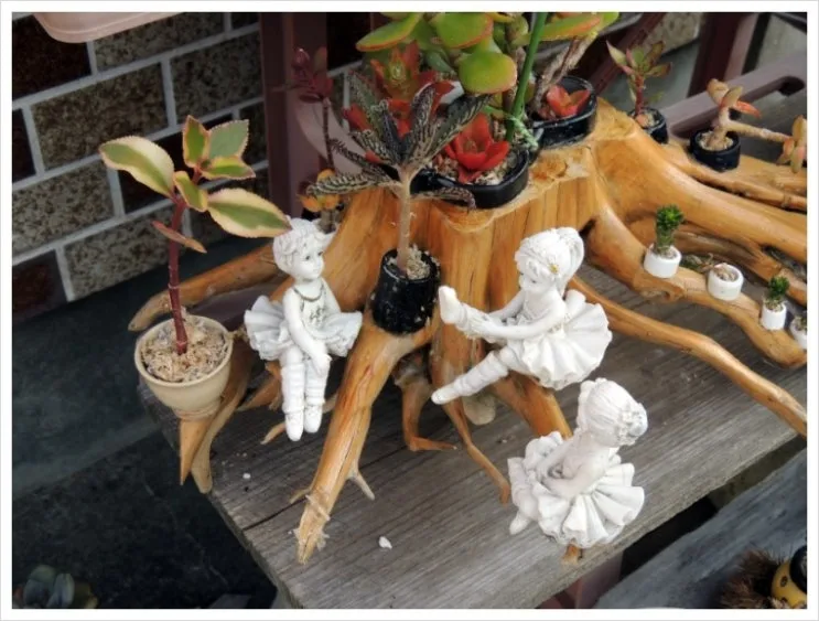 DSCN9739.JPG?type=w2