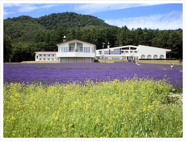 SE-1d94f4e1-7846-4c42-816d-15de48c7dd01.jpg?type=w773