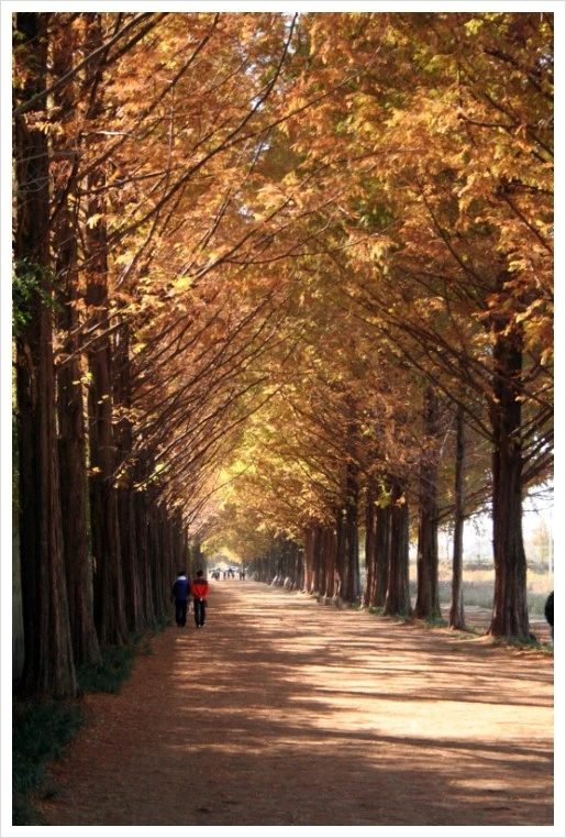 IMG_1035.jpg?type=w1