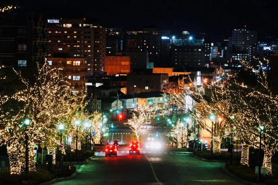 11011_8_l.jpg?type=w1