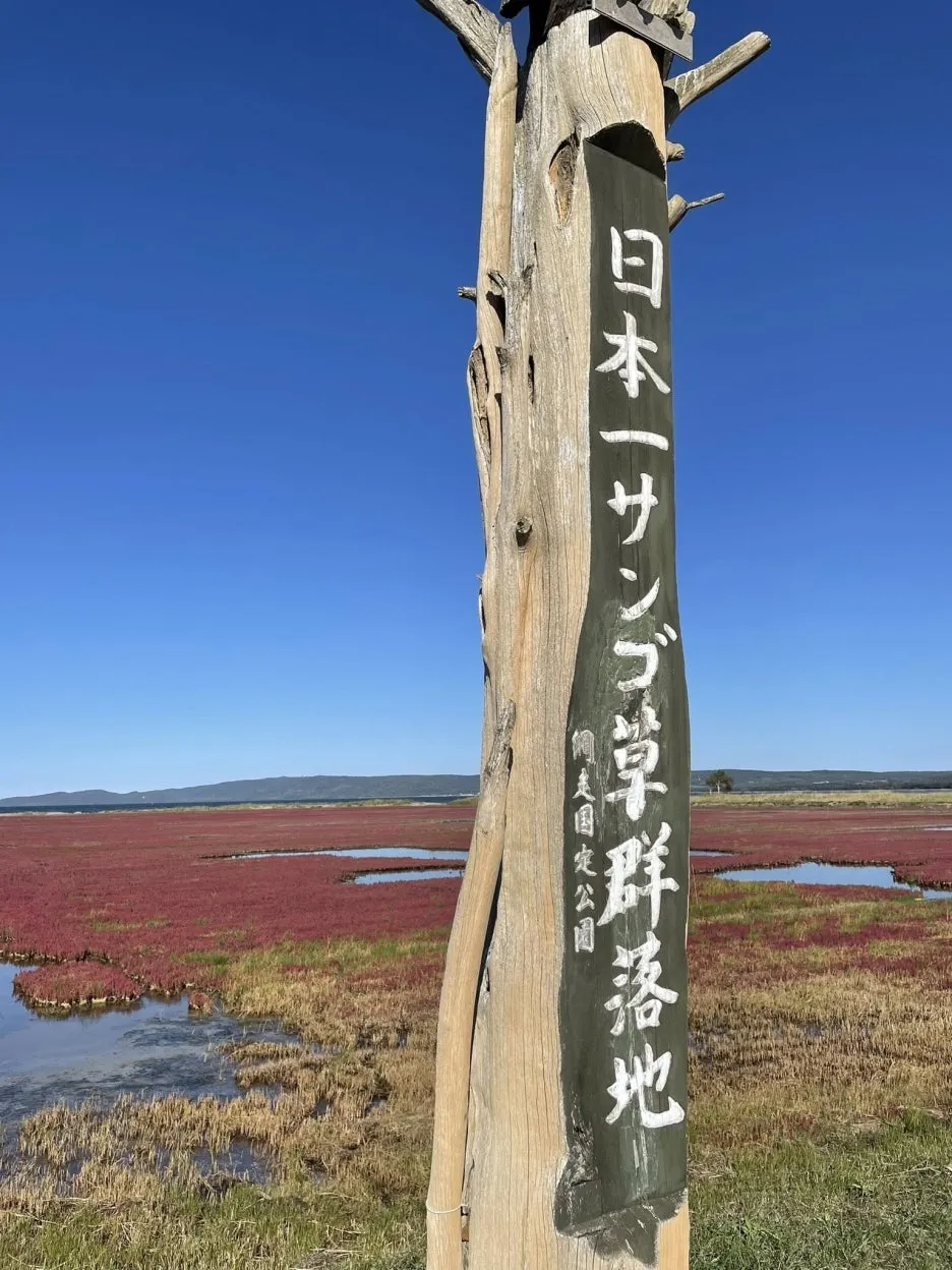 538877248_1387499260044294_1769475319330799406_n.jpg?type=w1