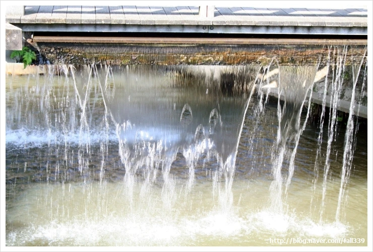 img_7639_fall339.jpg?type=w1