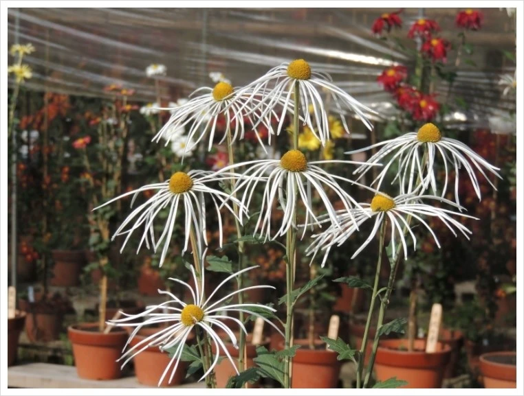 DSCN6107.JPG?type=w1