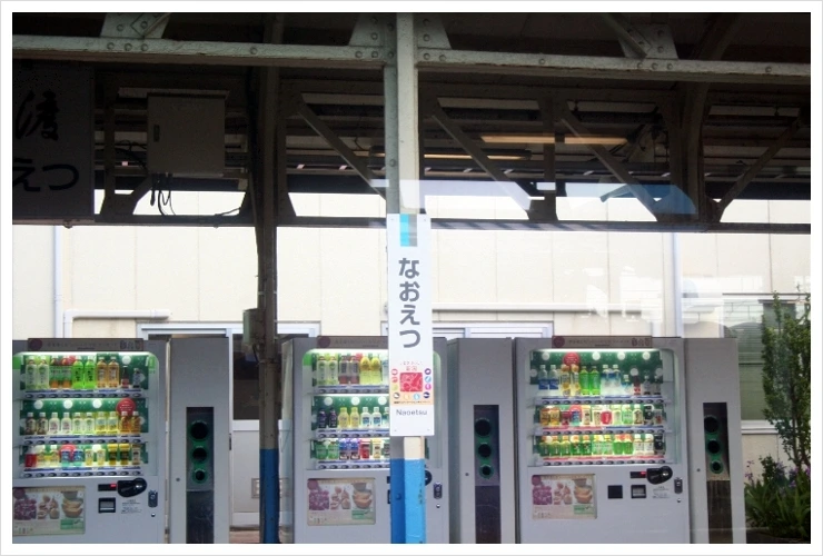 %EC%82%AC%EC%A7%84_005_fall339.jpg?type=w1