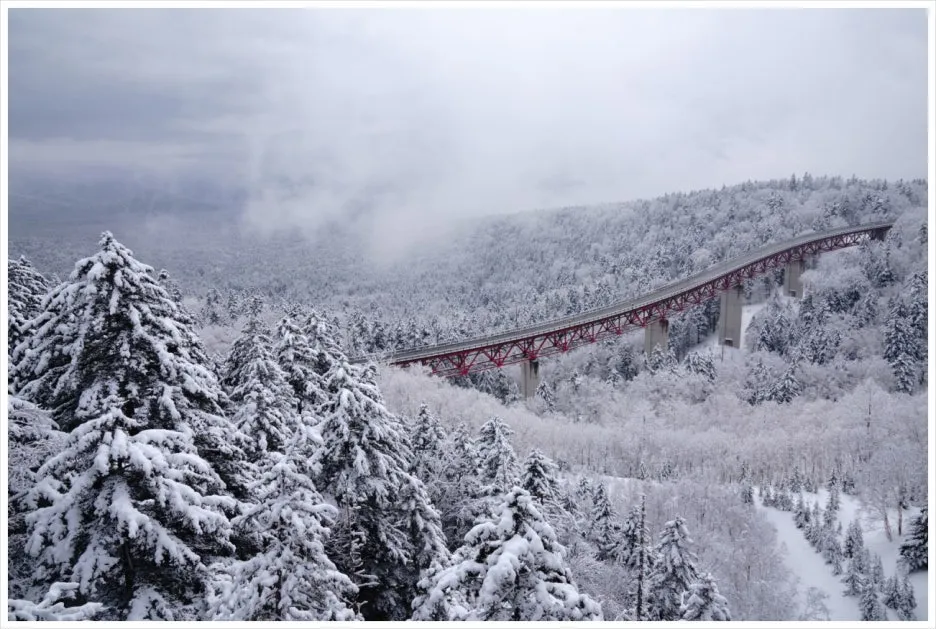 SE-3406d3ff-1509-49b0-aa6e-678e9d0cf063.jpg?type=w1