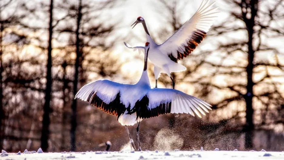 %EC%93%B0%EB%A3%A8%EC%9D%B4%EB%AC%B4%EB%9D%BC.jpg?type=w1