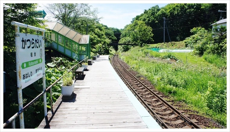 %EA%B0%80%EC%B8%A0%EB%9D%BC%EB%8B%A4%EC%9D%B4%EC%97%AD.jpg?type=w1