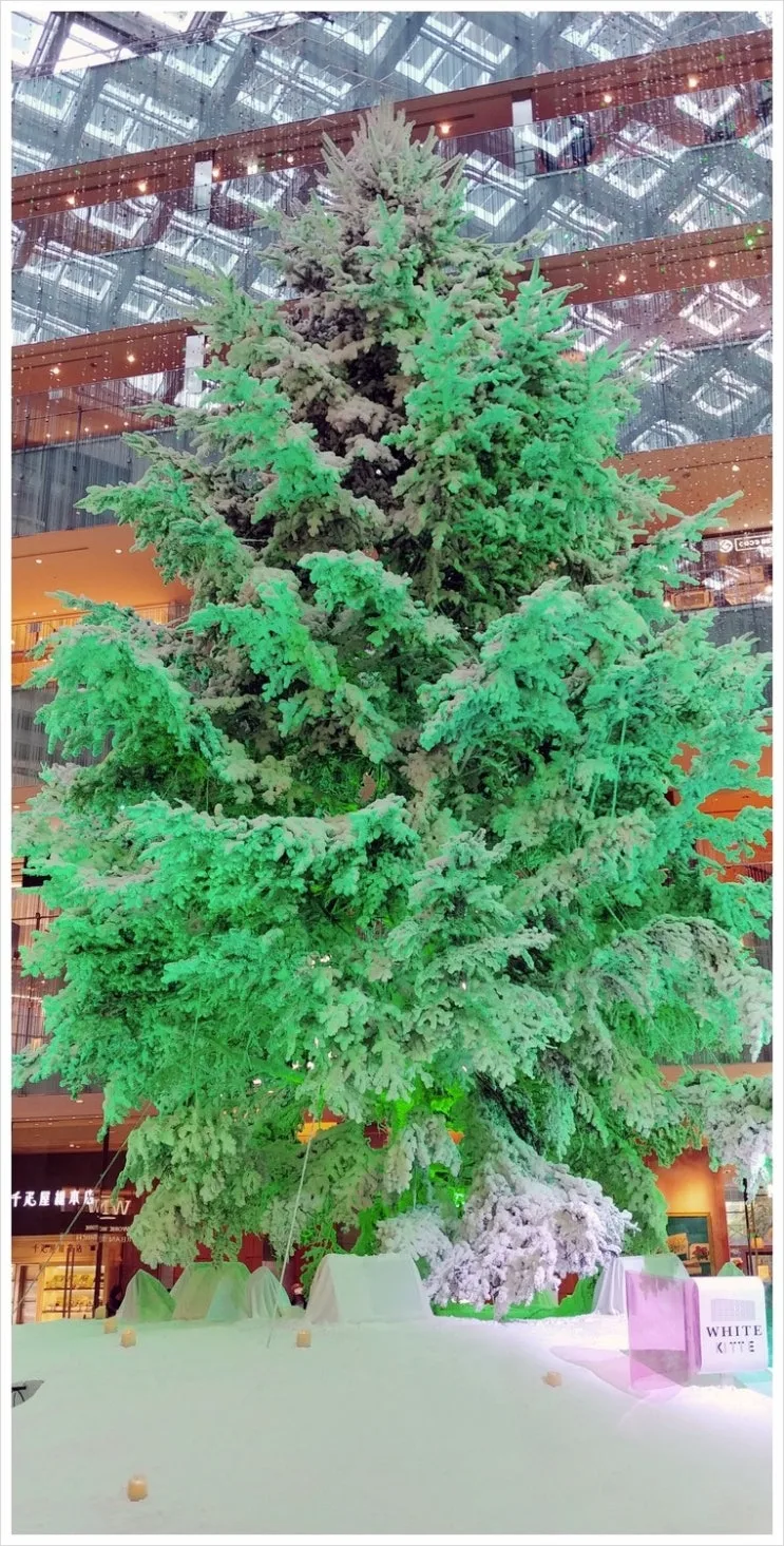 20181205_140516.jpg?type=w2