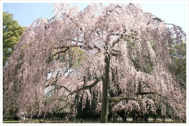 08_demizu.jpg?type=w2