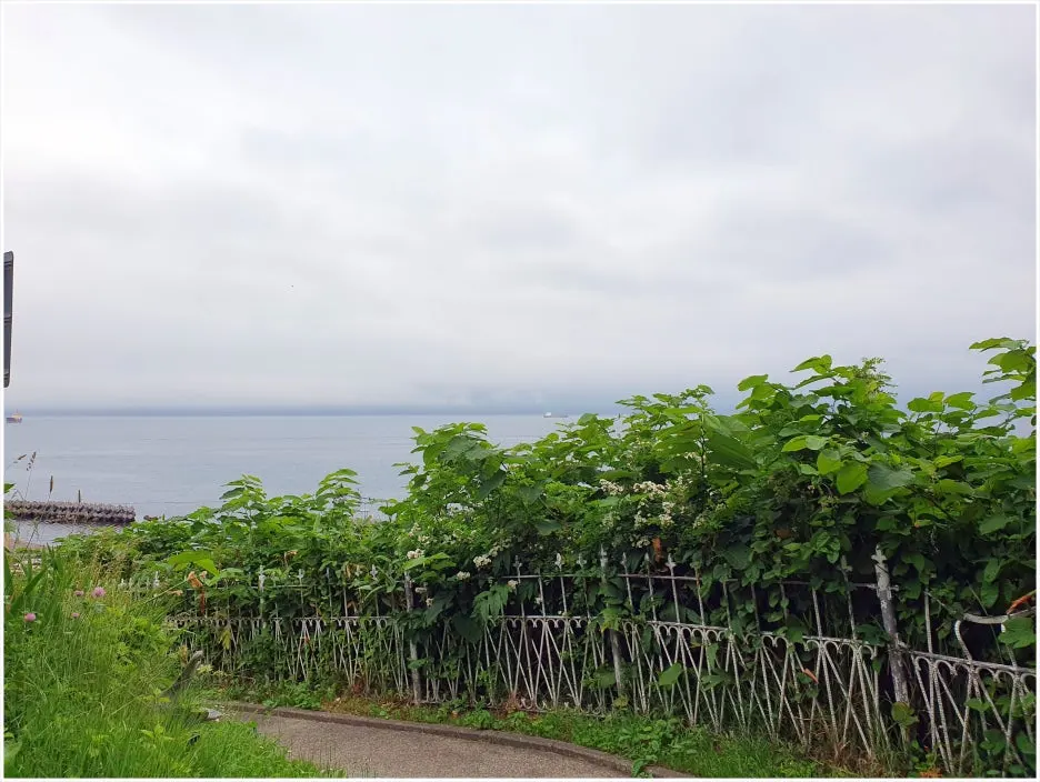 SE-f3a21395-e4b8-4062-9f49-752868e22f78.jpg?type=w1