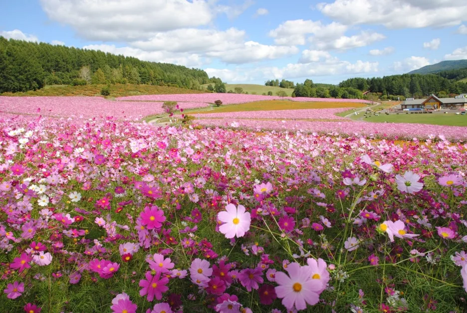 20210915-1-1-scaled.jpg?type=w1