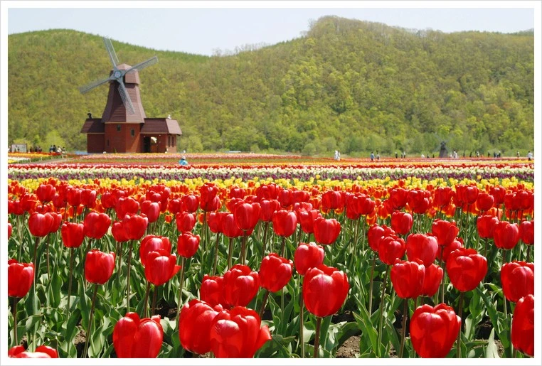 %ED%8A%A4%EB%A6%BD%EA%B3%B5%EC%9B%901.jpg?type=w1