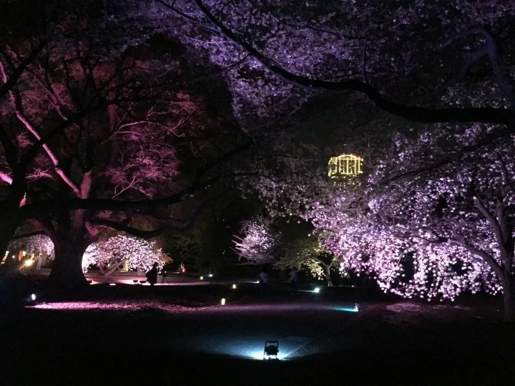 IMG_3256.jpg?type=w1