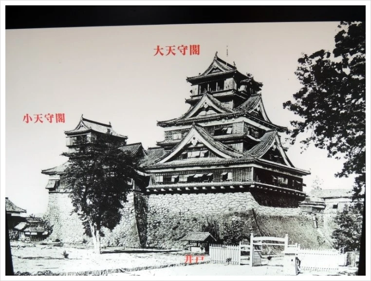 DSCN6141.JPG?type=w1