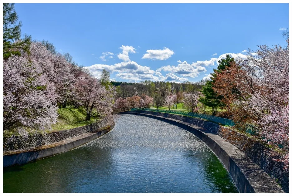 SE-20d7c939-6fc1-4889-a75c-6fe9dc8ebde0.jpg?type=w1