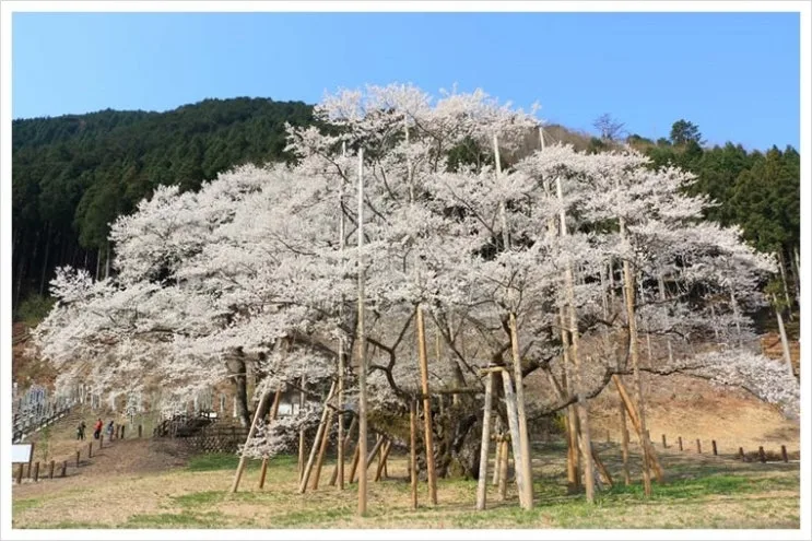 07_usuzumi.jpg?type=w2