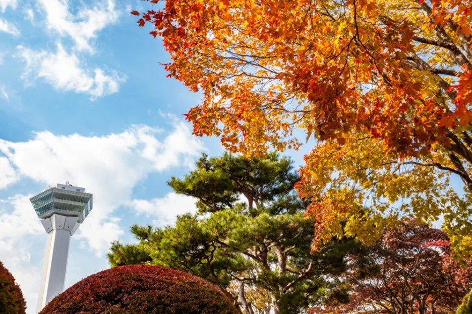 %EA%B3%A0%EB%A3%8C%EC%B9%B4%EC%BF%A01.jpg?type=w1