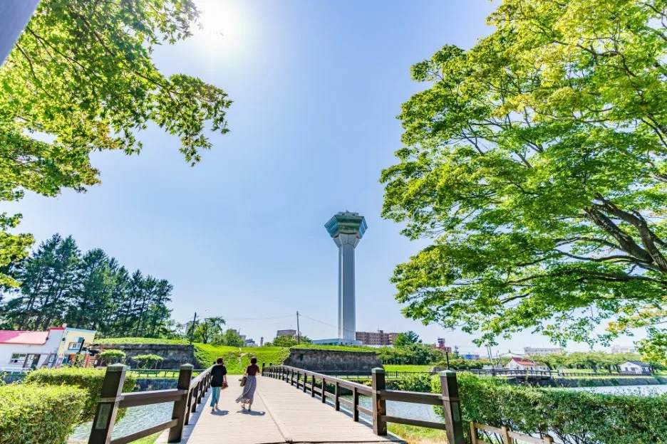 %EA%B3%A0%EB%A3%8C%EA%B0%80%EC%BF%A0.jpg?type=w1