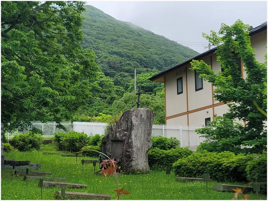 SE-d50de82d-4566-45cd-a1b0-4083d623e6bc.jpg?type=w1